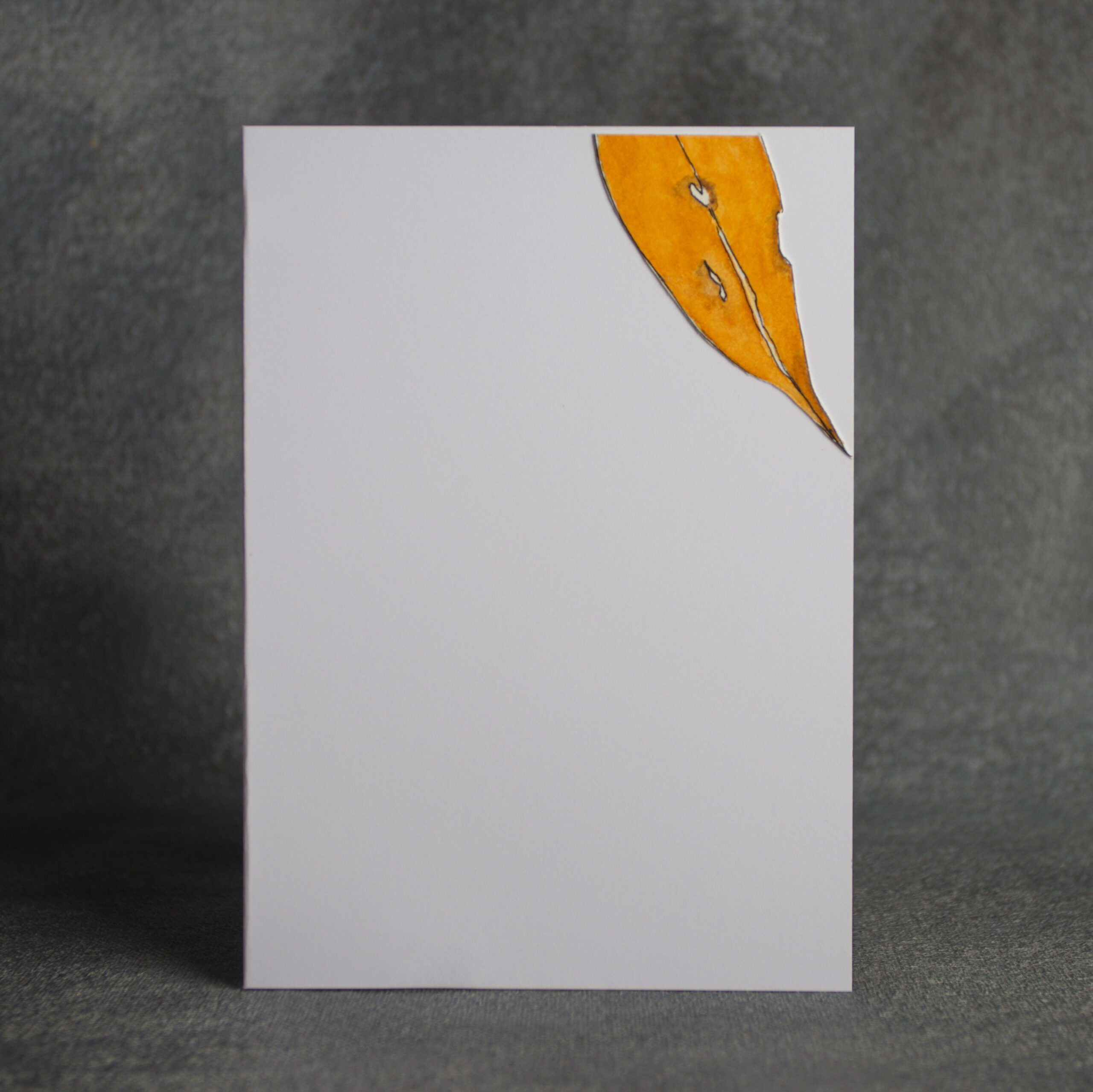 Autumn Colour Leaves - Image 2