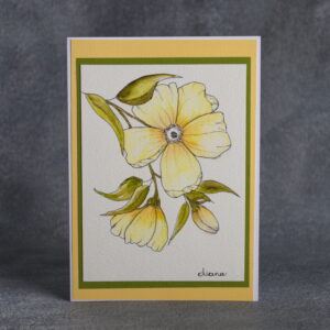 Morning Sunshine Floral