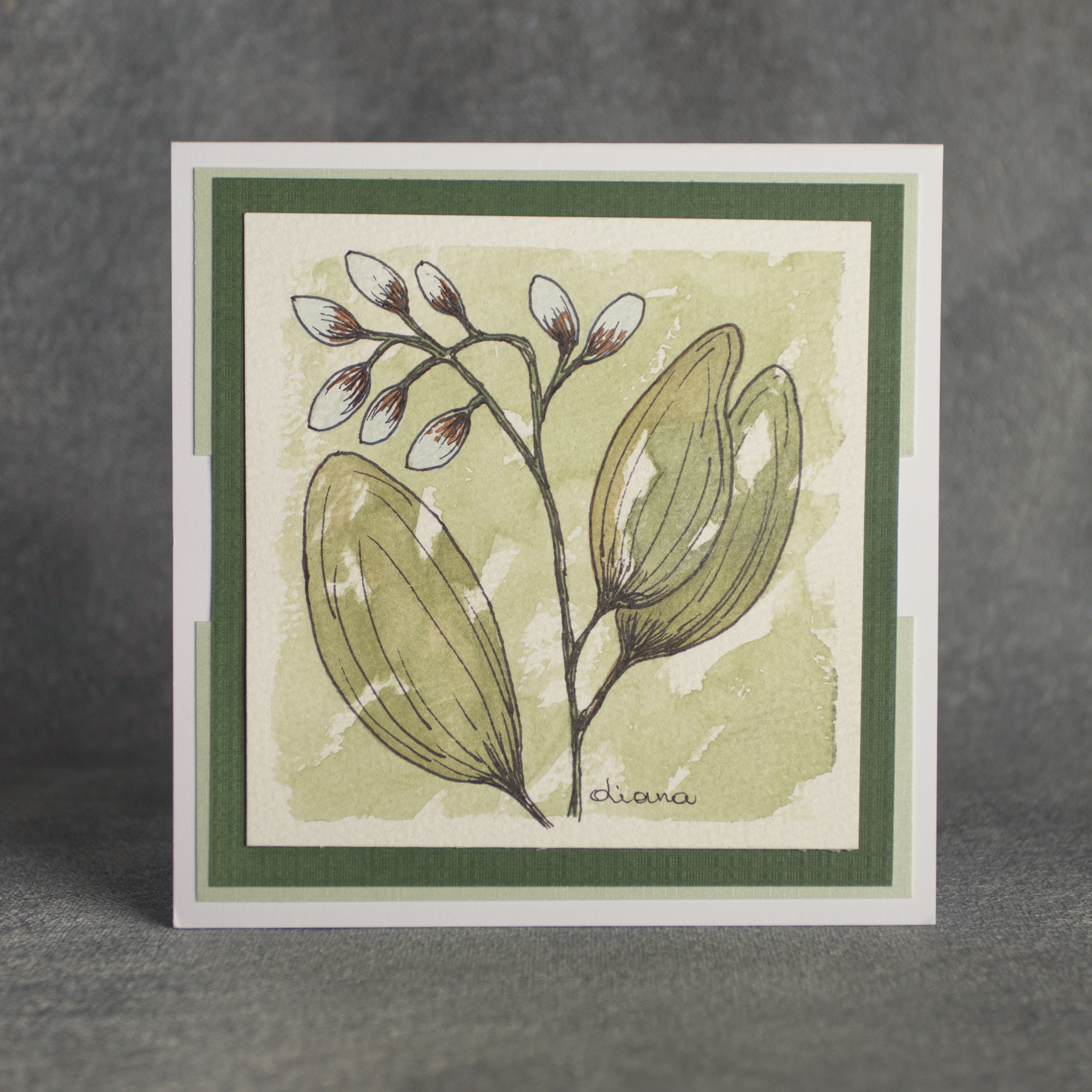 Fresh Spring Growth